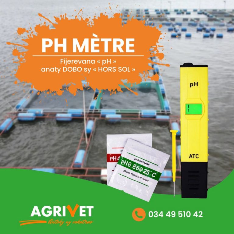Ph Mètre - Sakafo Vita Malagasy